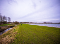 Bb aeno kees winkelman pijnacker nd 0284 1600