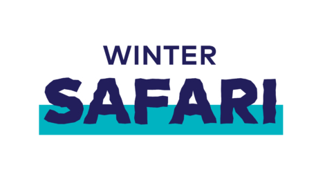 Wintersafari 2024