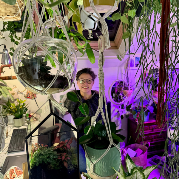 Ik haatte alle vogels