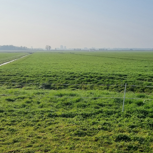 Aandacht en vertrouwen doet wonderen