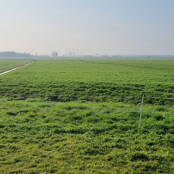 Aandacht en vertrouwen doet wonderen