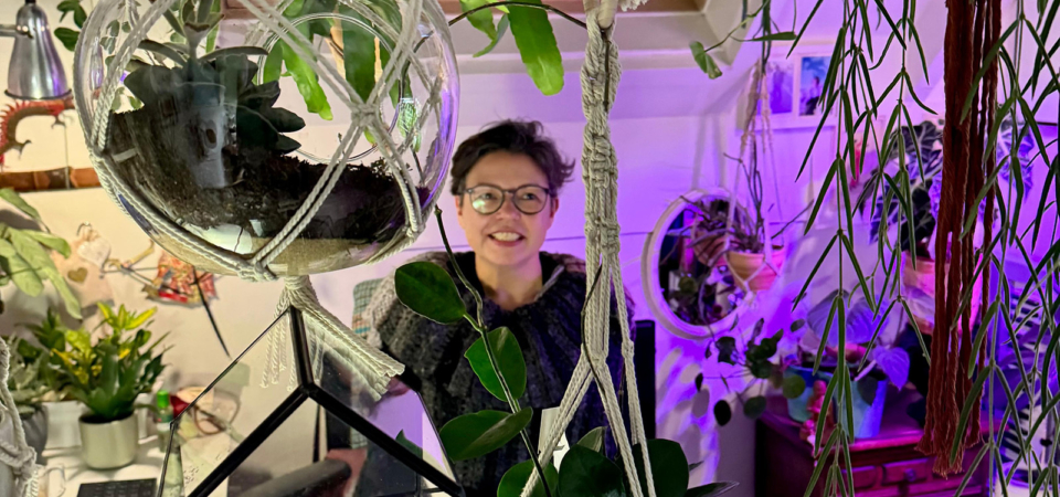 Ik haatte alle vogels