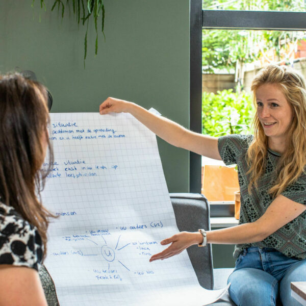 Drie theoretische modellen voor een mentaal krachtige organisatie