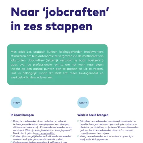 AO fonds Gemeenten DI Jobcraften 1