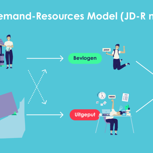 20241025 JDRMODEL 1