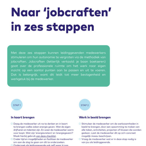 AO fonds Gemeenten DI Jobcraften 1