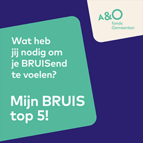 BRUIS top 5 kaart digitaal 300