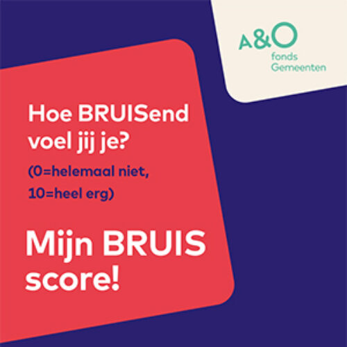 BRUIS top 5 kaart digitaal2 300