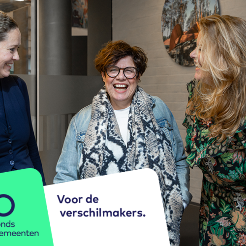 Goirle verschilmakers3 1000