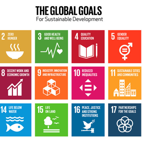 Impact fair the global goals grid color 1000