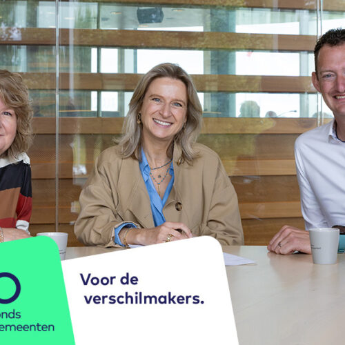 Lansingerland3 verschilmakers 1000