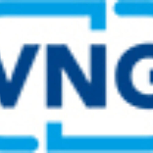 VNG logo 100