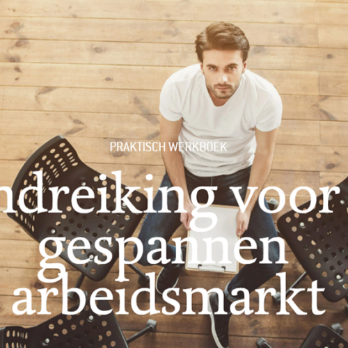 Werken bij de overheid handleiding arbeidsmarkt 1000