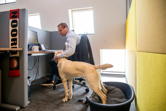 Hond op kantoor - Hardenberg