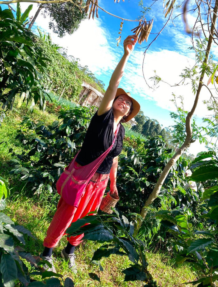 Blog Pauline ikhaattevogels2 1000