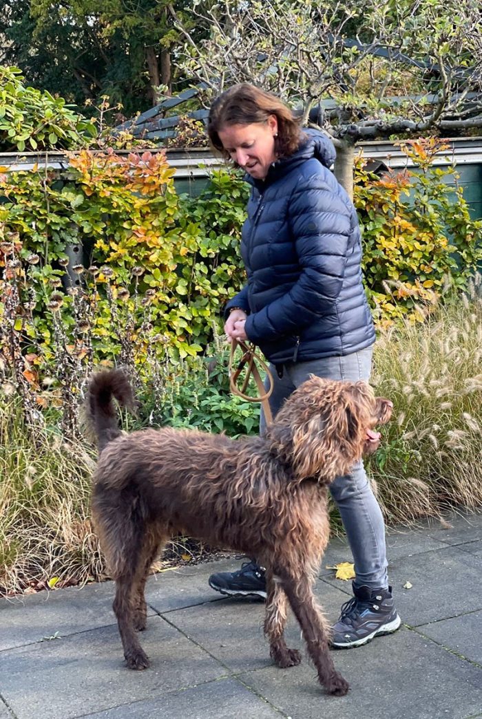 Fieke horsten met hond 800